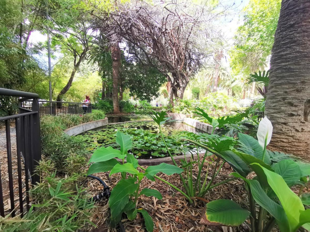 Home2Book El Encanto 3 De Mayo Санта-Крус-де-Тенерифе Экстерьер фото